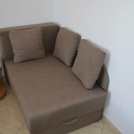 Darica Vid