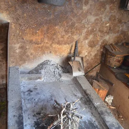 Darica Vid * Primosten