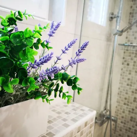 Apartament Darica Vid Primošten