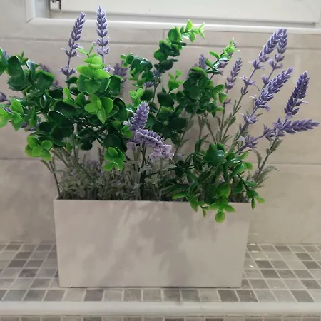 Apartment Darica Vid