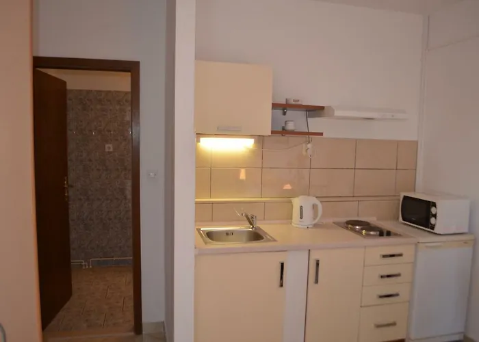 Darica Vid Primosten