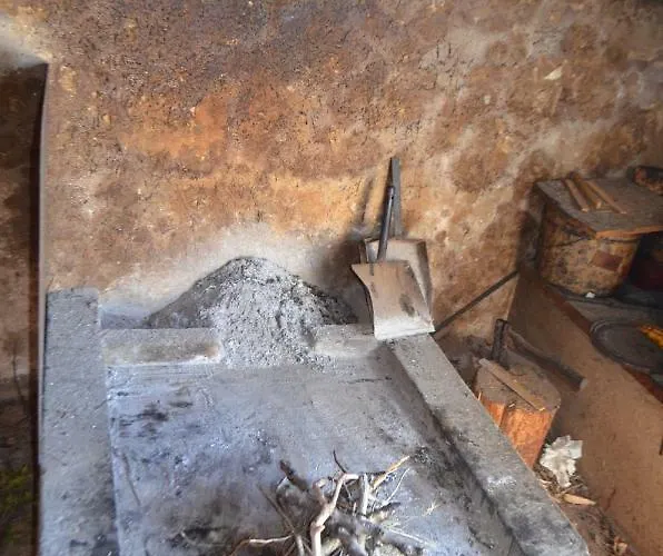 Darica Vid * Primosten